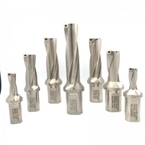 2d u khoan chèn spmg